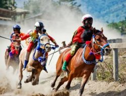 Lomba Pacuan Kuda Siap Meriahkan MXGP Samota