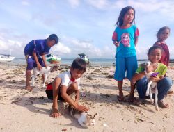 Penuh Asa Hewan di Pulau Mungil