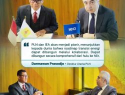 PLN Gandeng IEA Matangkan Akselerasi Transisi Energi Indonesia