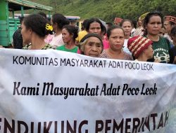 Dukung Pengembangan PLTP Ulumbu, Komunitas Masyarakat Adat Poco Leok Gelar Aksi Damai