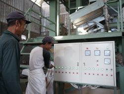 Melalui Program Electrifying Agriculture, PLN Tingkatkan Produksi Petani di Lombok Tengah Hingga 40 Persen