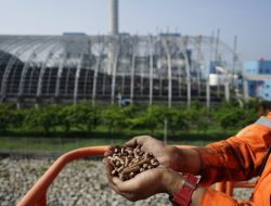 Dirut PLN: Co-Firing selain Mengurangi Emisi tetapi Mampu Berdayakan dan Bangun Ekonomi Kerakyatan