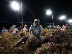 Dukung Sektor Agrikultur di Indonesia, Program Electrifying Agriculture PLN Tumbuh 22,28 Persen