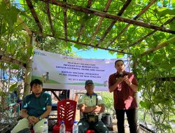 PLN UIP Nusra Gelar Pelatihan Hortikultura untuk Warga Sekitar PLTP Ulumbu di Poco Leok