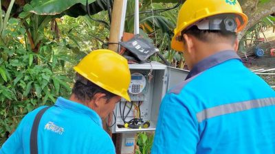 Program Electrifying Agriculture PLN Sukses Tingkatkan Produktivitas Sektor Pertanian di Indonesia
