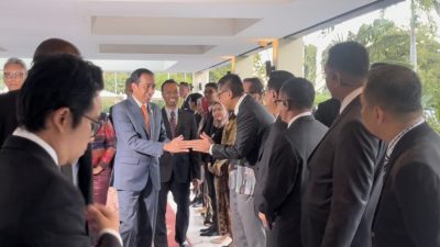Jadi Bagian dalam Kunjungan Bersejarah Presiden ke Afrika, PLN Realisasikan Kerja Sama dengan TANESCO