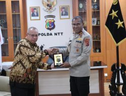 Siap Kawal PSN di NTT Sampai Tuntas, PLN UIP Nusra Langsungkan Audiensi dengan Kapolda NTT