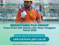 PT PLN (Persero) Buka Lowongan Kerja untuk Putra-putri Asli Nusa Tenggara dan Maluku