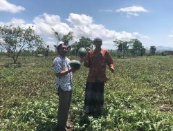 Sulhan Muchlis, Pelopor Gerakan Diversifikasi Pangan di Pondok Pesantren
