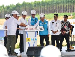 Hadirkan 100% Energi Bersih, Presiden Jokowi Groundbreaking Pembangunan PLTS PLN 50 MW di IKN Nusantara