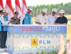 Langkah Menuju Kelistrikan Ramah Lingkungan, Presiden Jokowi Groundbreaking Pembangunan PLTS PLN 50 MW di IKN Nusantara