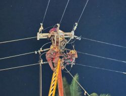 PLN NTB Gerak Cepat Tanggapi Insiden Tiang Listrik Roboh Akibat Tersangkut Truk