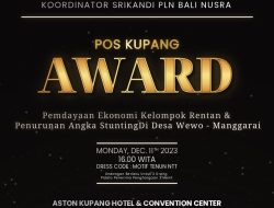 Berkat Inisiatif Program Pemberdayaan Ekonomi dan Penanggulangan Angka Stunting di NTT, Koordinator Srikandi PLN Bali-Nusra Raih Pos Kupang Award