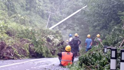Akibat Banjir Bandang, PLN Gerak Cepat Pulihkan 100% Sistem Kelistrikan di Tambora
