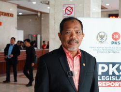Habiskan Rp 1,5 Triliun tapi Cuma Hasilkan 25 Ton Jagung, Food Estate Gunung Mas Proyek Gagal dan Tak Bermanfaat bagi Ketahanan Pangan
