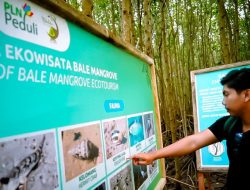 Jerowaru Masuk 100 Besar ADWI 2024, Bukti Sukses Program Desa Wisata PLN