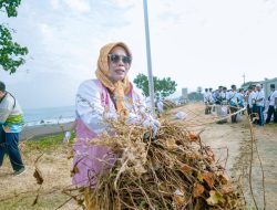 Hari Lingkungan Hidup Sedunia: Srikandi PLN dan Komunitas Bersihkan Pantai dan Tanam Pohon