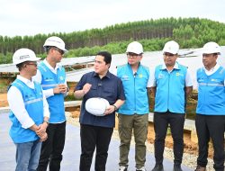 PLN Mendapat Apresiasi dari Menteri BUMN atas Pembangunan PLTS di IKN