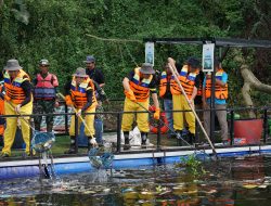 Hari Lingkungan Hidup Sedunia: PLN Targetkan 16.500 Relawan dalam Aksi Bersih dan Olah Sampah