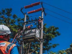 RUPS PLN 2023: Dividen Rp3,09 Triliun, Kinerja Keuangan Meningkat Tajam