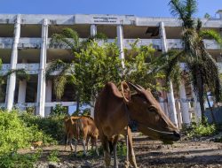 Gedung Tsunami Mangkrak di Lombok Utara: KPK Temukan Kerusakan Parah dan Terindikasi Korupsi