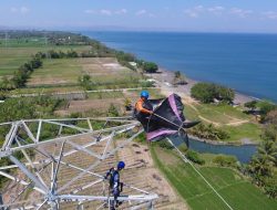 Jelang HUT RI, PLN NTB Siaga: Imbau Masyarakat Waspada Bahaya Layang-Layang Dekat Jaringan Listrik