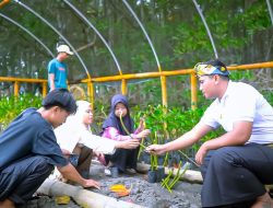 Ekowisata Mangrove Purba Jerowaru: Wisata Alam yang Gerakkan Ekonomi Warga Lombok Timur