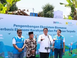PLN Sulap 1,7 Juta Hektare Lahan Kritis Jadi Hijau dan Produktif, Dorong Ekosistem Biomassa Berbasis Pertanian Terpadu