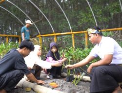 PLN NTB Manfaatkan Ekowisata Mangrove dan UMK untuk Kemakmuran Warga, Transformasi Lingkungan Menjadi Sumber Pendapatan