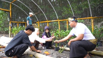 PLN NTB Manfaatkan Ekowisata Mangrove dan UMK untuk Kemakmuran Warga, Transformasi Lingkungan Menjadi Sumber Pendapatan