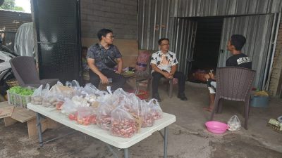 Stok Menipis, Harga Bawang Merah Melonjak: Pemerintah Diminta Sigap Hadapi Krisis Pasokan