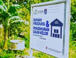 PLN NTB Jadikan Kelor Dusun Besari Simbol Kemandirian Ekonomi Perempuan