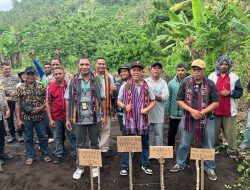 PLN UIP Nusra Hadirkan Harapan Baru, Budidaya Kacang dan Pembangunan Gereja Perkuat Ekonomi dan Harmoni Warga Lembata