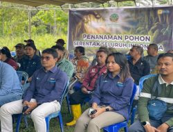 PLN UIP Nusra dan KPH TTS Galang Kolaborasi Hijau, 33 Ribu Pohon Siap Hiasi Kabupaten Timor Tengah Selatan