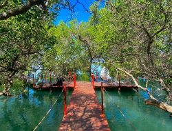 PLN NTB Jadi Teladan Nasional, Raih Indonesia Green Awards 2025 Berkat Keajaiban Ekowisata Bale Mangrove
