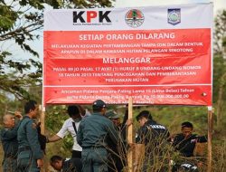 Skandal Tambang Ilegal Sekotong: Jejak WNA China, Kerugian Triliunan, dan Misteri Penegakan Hukum