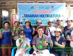 PLN dan Petani Nubahaeraka Panen Keberhasilan: Sinergi Energi dan Pertanian Demi Masa Depan Lembata