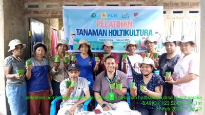 PLN dan Petani Nubahaeraka Panen Keberhasilan: Sinergi Energi dan Pertanian Demi Masa Depan Lembata