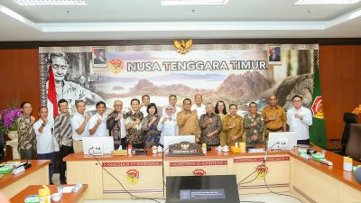Menembus Perut Bumi NTT: Harapan Baru Energi Hijau dan Keadilan Sosial dari Geothermal