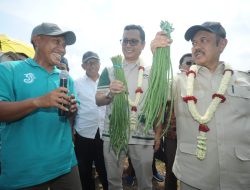 Swasembada Pangan Prioritas Pembangunan Nasional