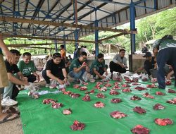 Bank NTB Syariah Tebar 66 Sapi Qurban Hingga Pelosok NTB dan Surabaya