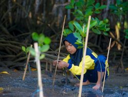 Jerowaru Menanam Harapan: Dari Hutan Mangrove ke UMKM Mandiri, Ekowisata Binaan PLN Jadi Oase Pesisir NTB