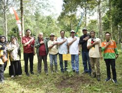 Dari Lereng Joben, Bank NTB Syariah Tebar Harapan Lewat Hutan dan Produk Lokal