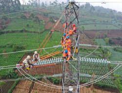 PLN Masuk Fortune Global 500, Tunjukkan Ketangguhan BUMN di Kancah Dunia