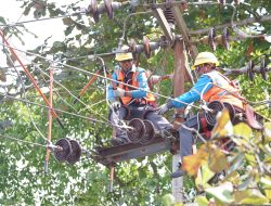 PLN UIW NTB Lakukan 120 Titik Pemeliharaan, Gangguan Listrik Turun 18 Persen