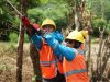 Liga Yantek PLN NTB, Strategi Jitu Redam Gangguan Listrik di Tengah Medan Berat Kepulauan