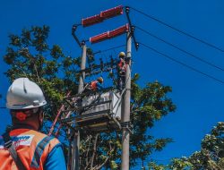 Tarif Listrik Tetap Hingga Desember, Strategi Pemerintah Menjaga Stabilitas Ekonomi dan UMKM