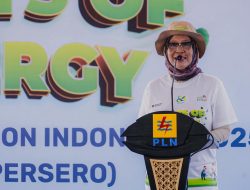 Akar Energi untuk Masa Depan, PLN Tanam Ribuan Pohon dan Kuatkan Ekosistem Mangrove Lombok Timur