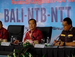Sinergi Tiga Provinsi, PLN Dorong Integrasi Ekonomi Bali-NTB-NTT Lewat Penguatan Ketahanan Energi
