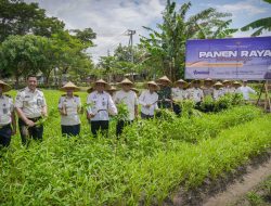 Pemberdayaan Warga Binaan Berbuah Hasil, Lapas Lombok Barat Sukses Panen Raya